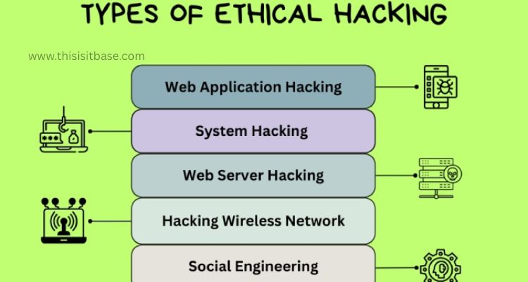 Types of Hacking