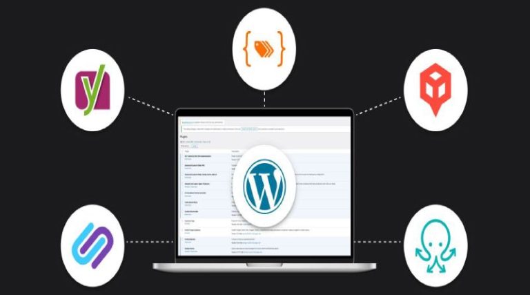 5 WordPress plugins