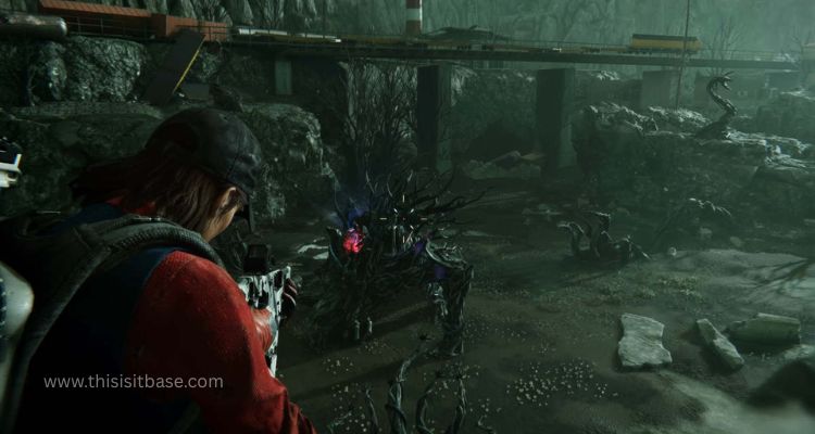 PVE vs. PVP Key Differences